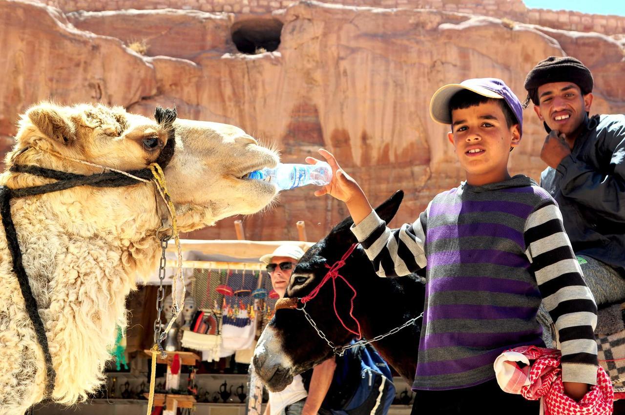 Happy Bedouin House Petra Bed and Breakfast Al Hayy Eksteriør billede